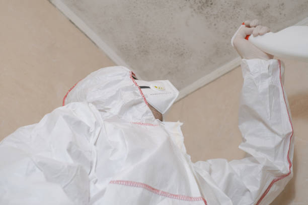 Best Kitchen Mold Remediation in Vero Beach South, FL